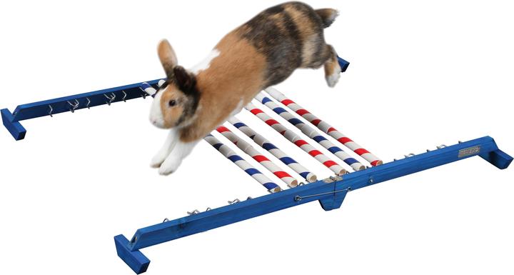 Actual product image Kerbl Combi jump (Agility)