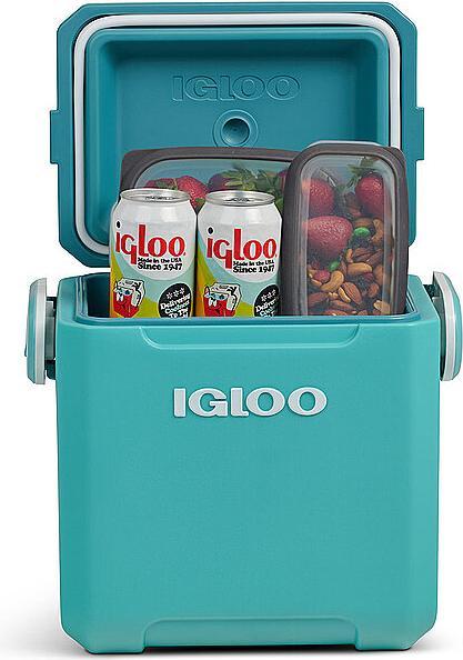 Actual product image Igloo Tag-A-Long Too 11 (10 l)