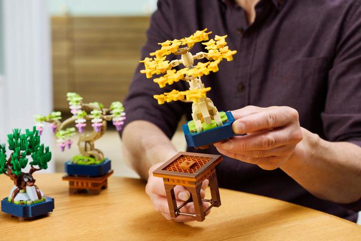 Produktbild LEGO Mini-Bonsais Set (10373, LEGO Botanical)