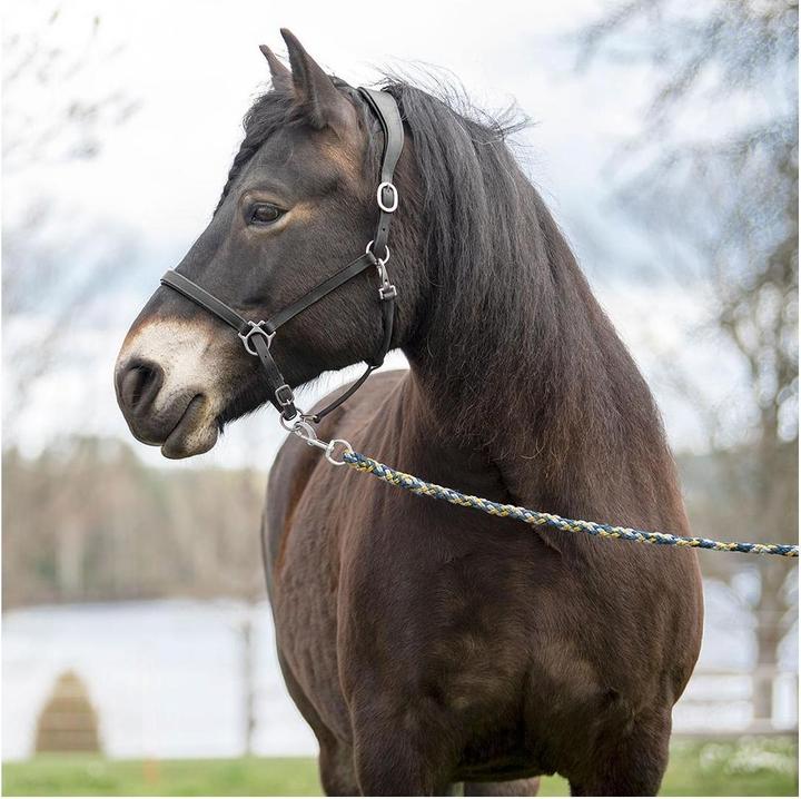 Produktbild Soulhorse Elegantes Lederhalfter aus Fettleder