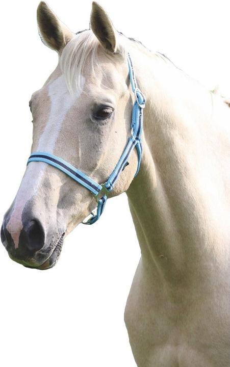 Produktbild Pferdehalfter