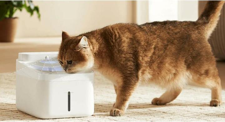 Actual product image Xiaomi Smart Pet Fountain 2 (3 l)