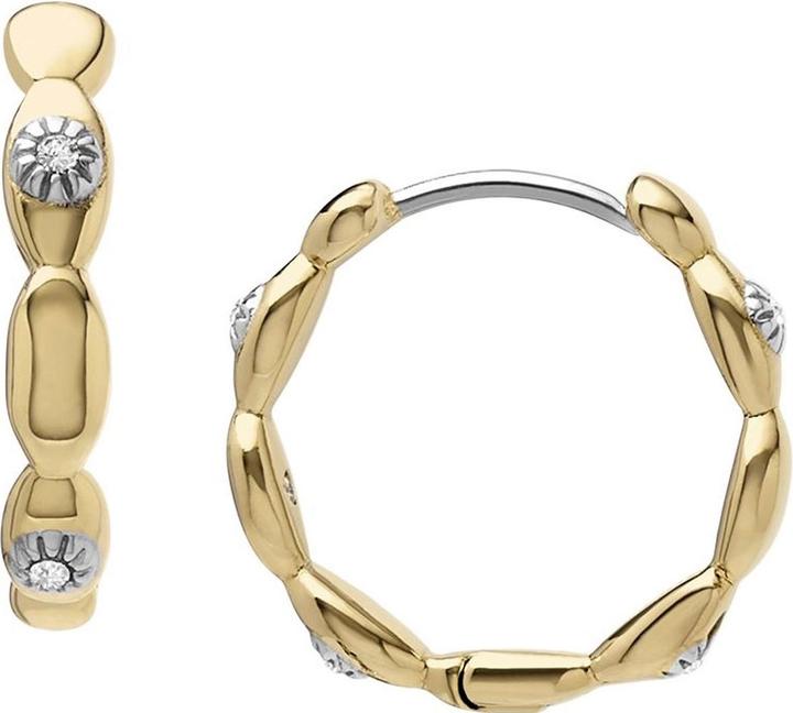 Fossil Boucles d'oreilles Sutton (Acier inoxydable)