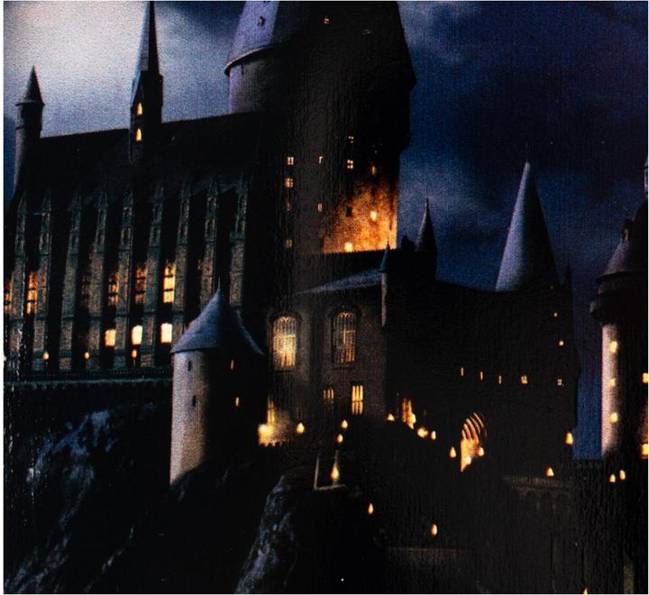 Actual product image Welcome Arrival on Slappy Slap (9.50")