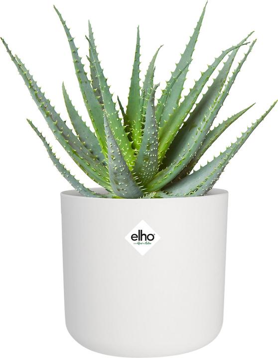 Actual product image Elho b.for soft (13.80 cm)