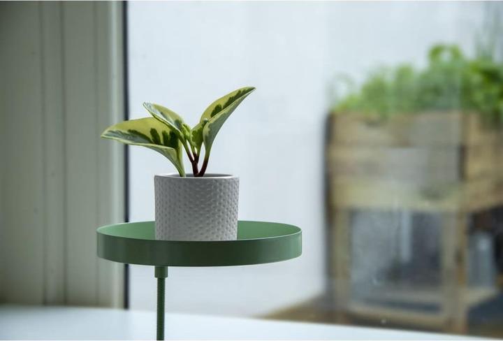 Produktbild Esschert Design Ablage