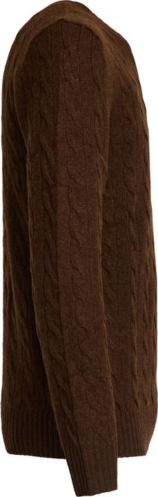 Produktbild Ralph Lauren Maglie Marrone (L)