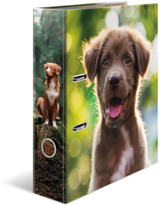 Immagine prodotto HERMA Motiv-Ordner A4 Hund (A4, 70 mm, 1 pz.)