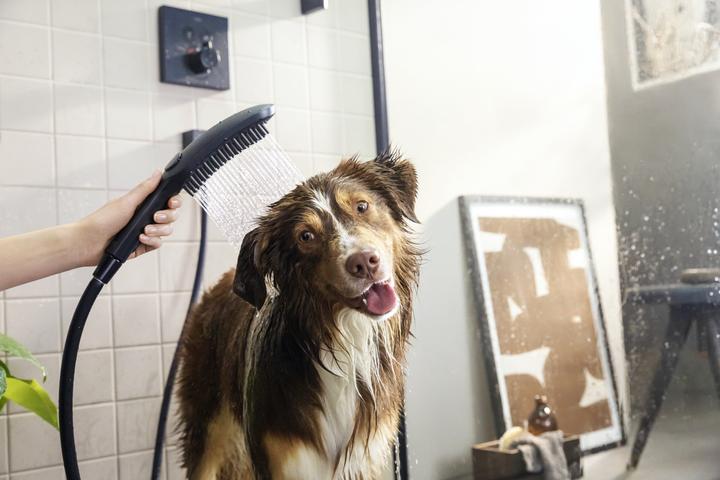 Produktbild hansgrohe DogShower Hundebrause 150 Select (3 Strahlarten, 7.60 l/min)