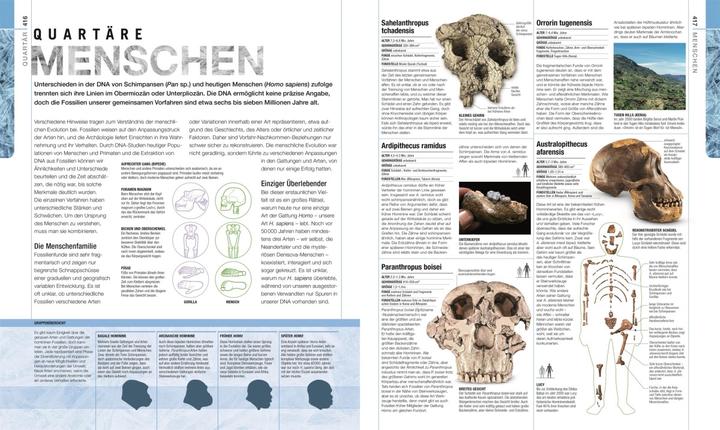 Actual product image Dinosaurier und andere Lebewesen der Urzeit (German, Stephan Matthiesen, Kim Dennis-Bryan, Eva Sixt, Dr Andrea Kamphuis, Douglas Palmer, 2020)