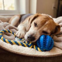 Productafbeelding Real Madrid CF Real Madrid C.f. Hundespielzeug Real Madrid C.f. Blau 10 X 30 X 7 Cm