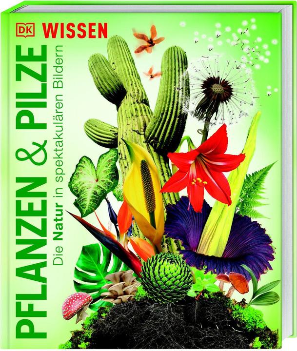 Produktbild DK Wissen. Pflanzen und Pilze (Deutsch, Eva Sixt, DK Verlag - Kids, 2024)