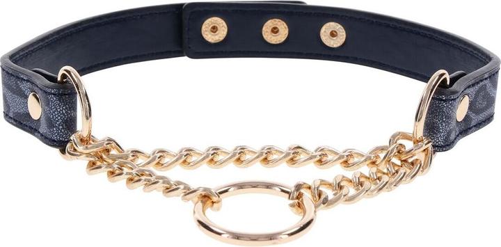 Produktbild Sportsheets cougar day collar
