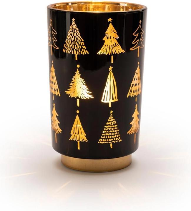 Image du produit STT Lanterne, Arbre, M, 20 cm, Noir