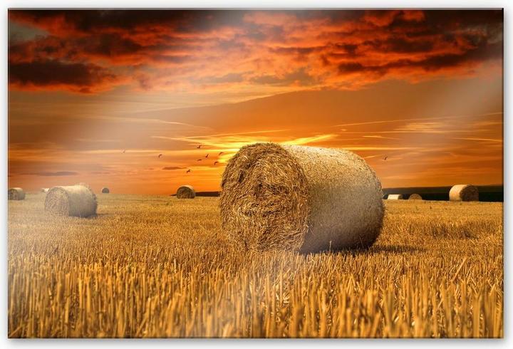 Immagine prodotto Trenddeko Balle di paglia (60 x 40 cm)