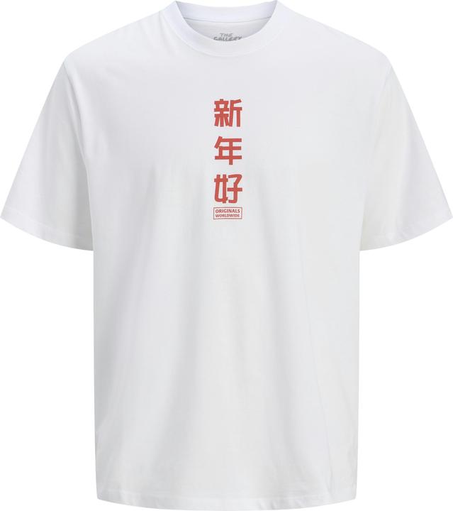 Produktbild Jack & Jones Jorsnake Tee Ss Crew Neck Tg Ln (XXL)