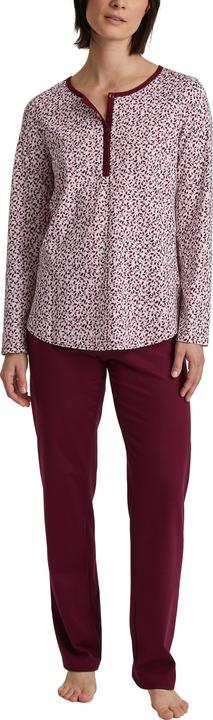 Produktbild Calida Special (S)