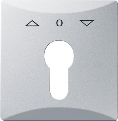 Actual product image Busch-Jaeger Central disc with imprint 2CKA001710A3804