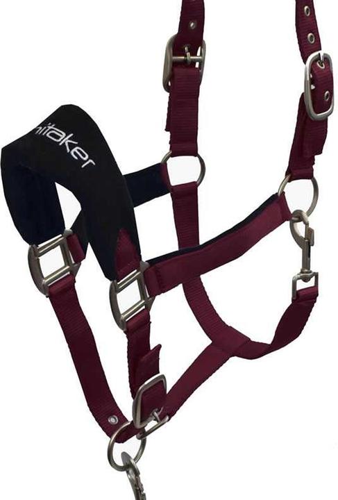 Pferdehalfter und Führstrick Set FussballClub