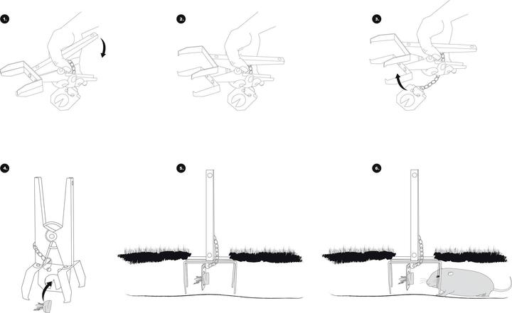 Actual product image Gardigo Vole pincer trap