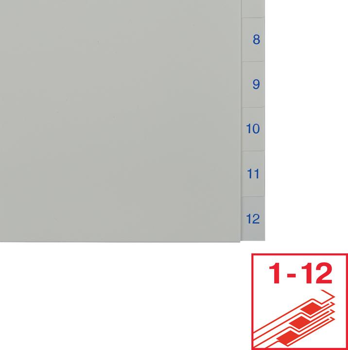 Actual product image Leitz Esselte plastic registers, numbers, A4, 1-12, white universal perforation, dimensions: (W)225 x