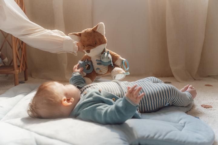 Image du produit Little Dutch Amis de la forêt (27 cm)