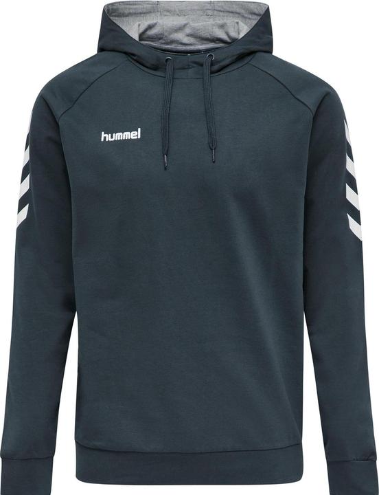 Image du produit hummel hmlGO Sweat à capuche en coton pour hommes (S)