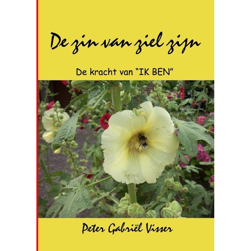 De zin van ziel zijn, Ratgeber von Peter Gabriël Visser