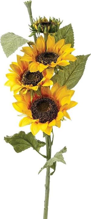 Immagine prodotto Atmosphera 110350