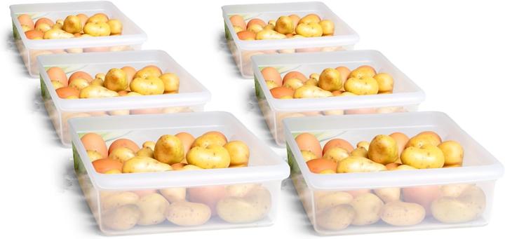 Novaliv 6X Kühlschrank Organizer 30,5 x 7,5 x 22 cm BPA-frei Küchenordnung Made in Germany Kühlschra