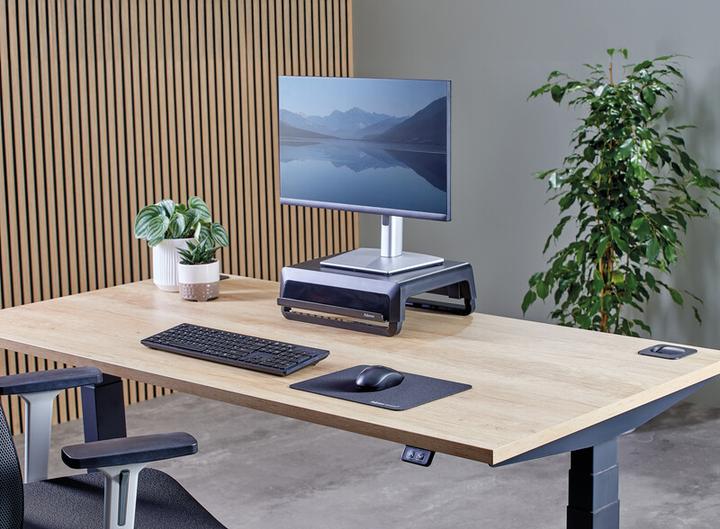 Productafbeelding Fellowes Mausmatte 32x27,5cm schwarz (M)