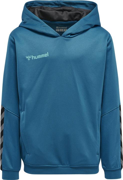 Image du produit hummel Sweat à Capuche Authentique Pour Enfants (116)