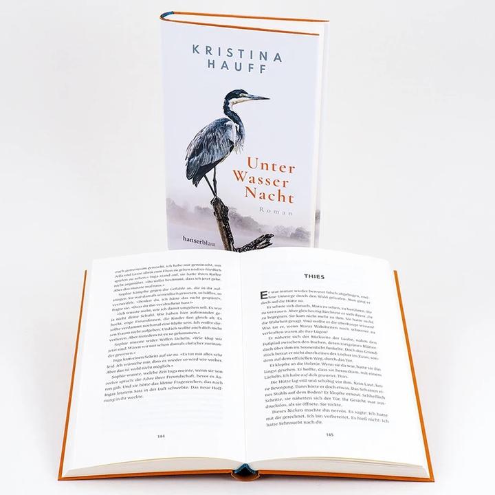 Produktbild Hanserblau Unter Wasser Nacht (Deutsch, Kristina Hauff, 2021)