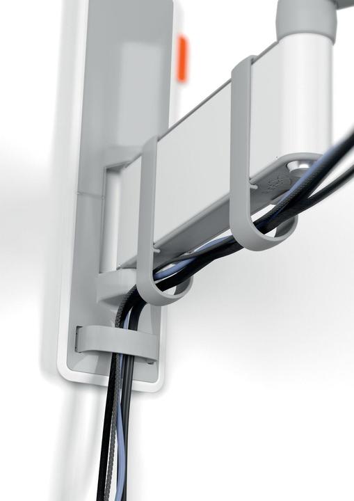 Image du produit Vogels TVM 3645 (Mur, 77", 35 kg)