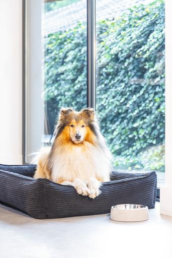 Actual product image Designed by Lotte Ribbed (Dog)