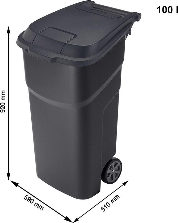 Actual product image Rotho Atlas (100 l)