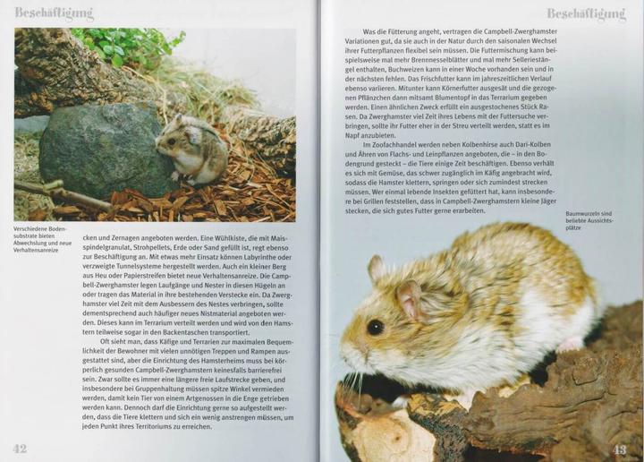 Produktbild Der Campbell-Zwerghamster (Deutsch, Stefan Kräh, 2014)