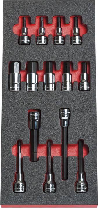 Actual product image Facom Module with 15 1/2" screw inserts (1/2")