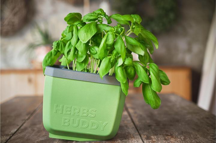 Actual product image Gusta Garden HERBS BUDDY Kräutertopf 3er Set Grün (49 x 15 x 14.50 cm)