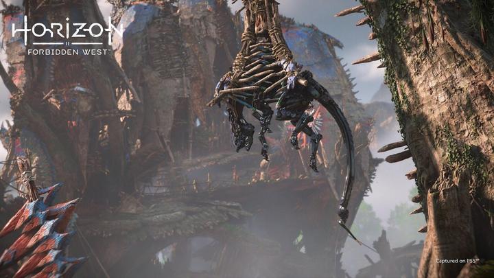 Actual product image Sony Horizon Forbidden West (PS5, EN)