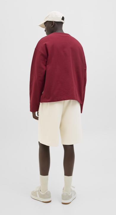 Image du produit Jack & Jones Jpstbill Fletcher Shorts C Org Styd Ss25 (XS)