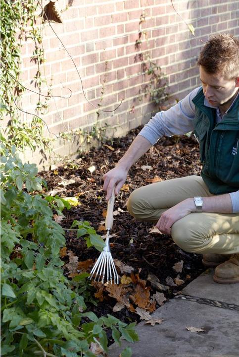 Actual product image Burgon & Ball Hand rake