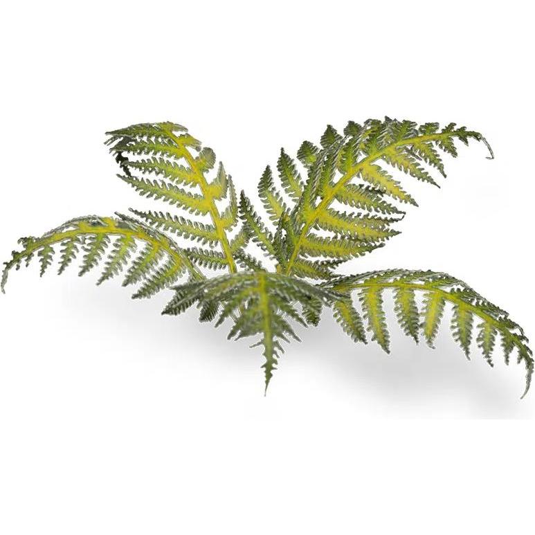 Gamers Grass Piante Laser - Bracken