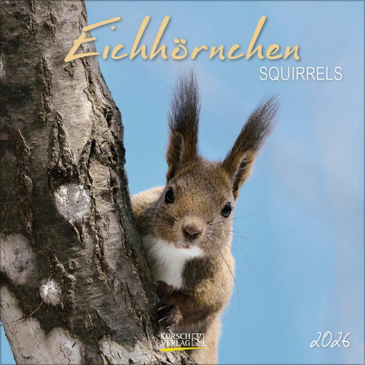 Eichhrnchen 2026 (30 x 60 cm, Hardcover, English, French)
