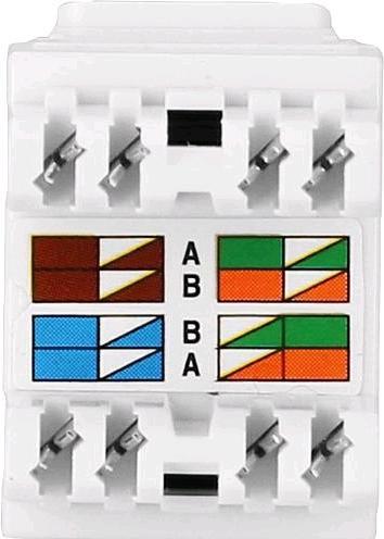 Actual product image EGB Network adapter cat 6RJ45