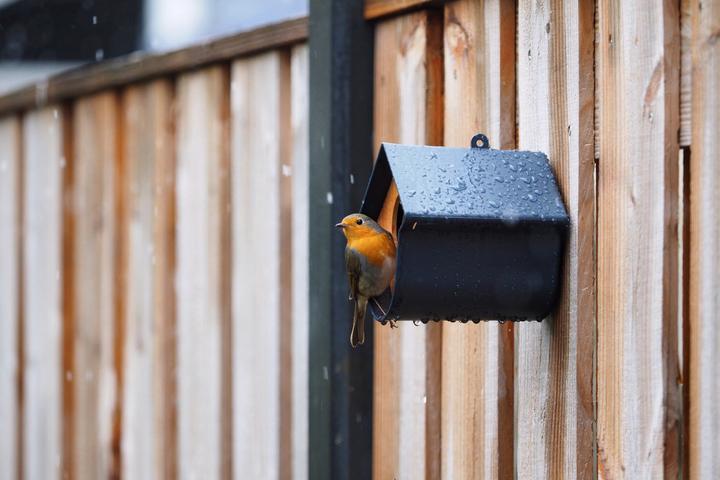 Produktbild SingingFriend Vogelfutterhalter Evie