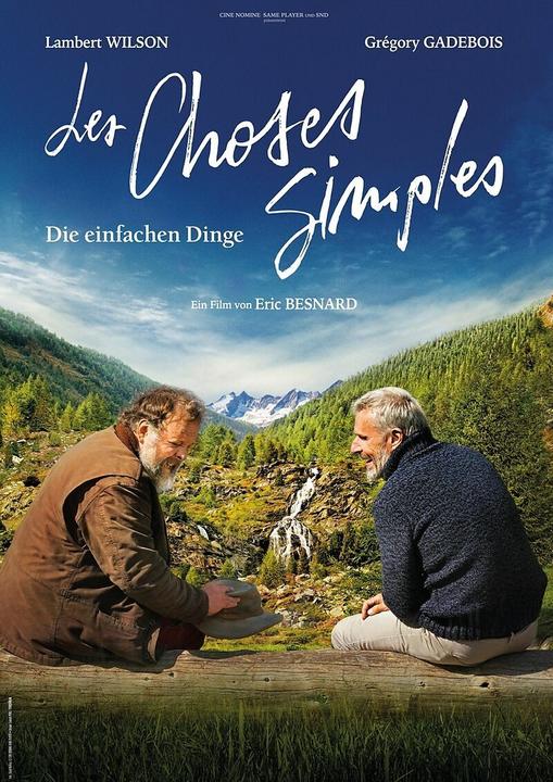 Actual product image Les Choses Simples - The Simple Things (DVD D) (DVD, 2024, German, French)