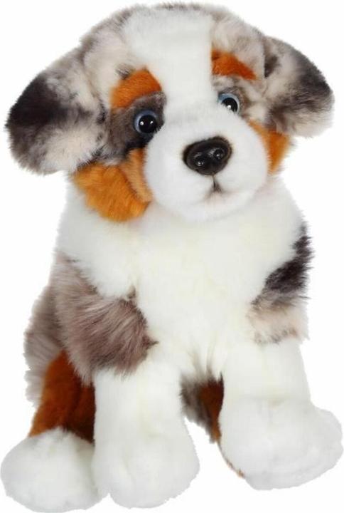 Actual product image Gipsy Australian Shepherd Dog