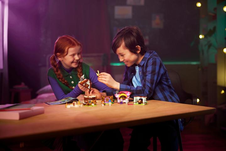 Actual product image LEGO Dreamzzz Dream Village (40657, LEGO Dreamzzz, LEGO Rare Sets)