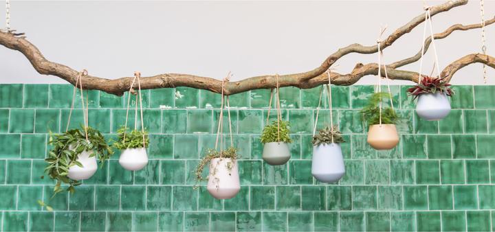 Produktbild present time Skittle (13.50 x 15 cm)